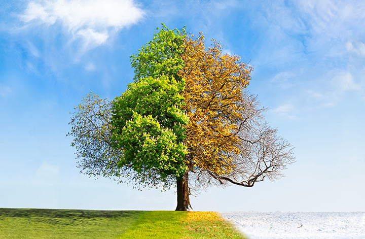 Deeg, Méint, Joreszäiten